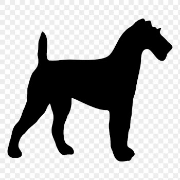 Irish Terrier png dog sticker | Free PNG - rawpixel