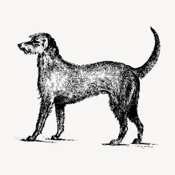 Irish Wolfhound dog drawing clipart, | Free Vector - rawpixel