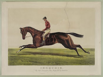 Iroquois: by imp. Leamington, dam | Free Photo - rawpixel