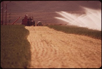 Irrigating an alfalfa field on experimental | Free Photo - rawpixel