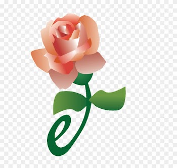 Is Mass Marketing Dead Does One To One Marketing Rule - Garden Roses