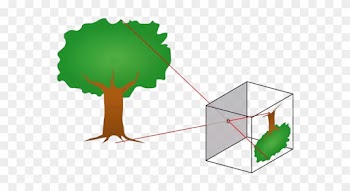 Is X - Pinhole Camera