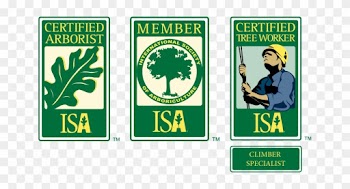 Isa Certified Arborist, Isa Member, &amp; Isa Certified - Isa Certified Tree Climber