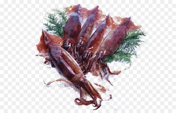 Ishikawa Prefecture Squid Sashimi Ika su014dmen Seafood - Five frozen octopus buckle-free material 