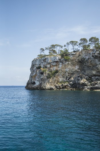 Island and Body of Water