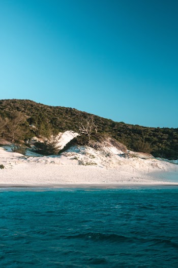 Island Covered in Grass Facing Body of Water