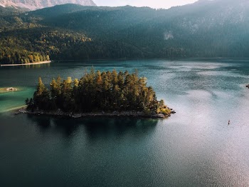 Island Full Of Trees