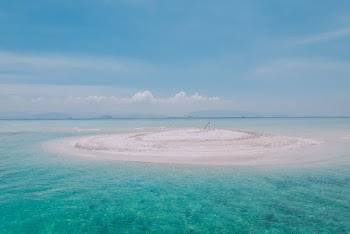Island In The Middle Of The Ocean