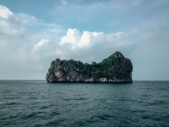 island with trees on sea under gray sky