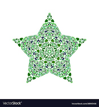 Isolated abstract floral ornament star symbol vector image