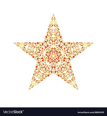 Isolated abstract floral ornament star symbol vector image