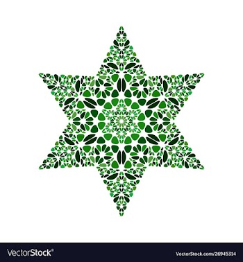 Isolated abstract gemstone ornament star symbol vector image