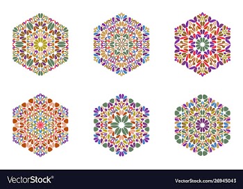 Isolated abstract geometrical floral hexagon vector image