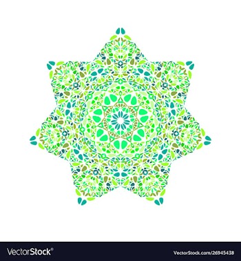 Isolated abstract geometrical floral star symbol vector image