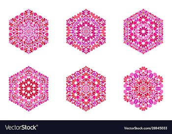 Isolated abstract ornate floral ornament hexagon vector image