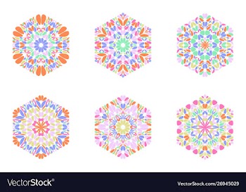 Isolated abstract petal ornament hexagon logo vector image