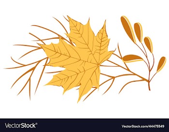 isolated autumnal leaves and branches