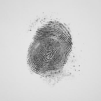 Isolated Black Ink Thumbprint on White Background