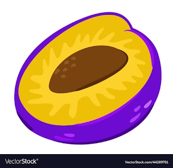 isolated bright of half of a plum