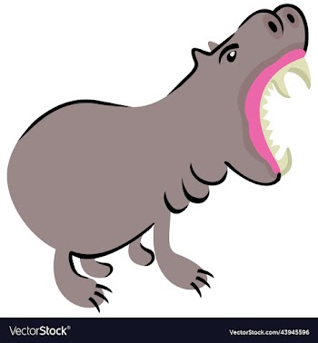 isolated childish of hippopotamus