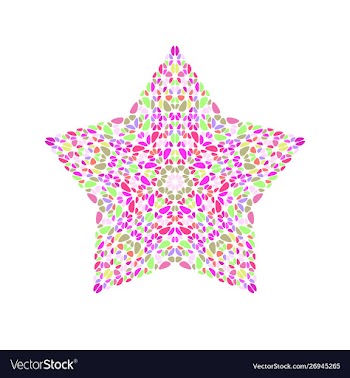 Isolated colorful abstract flower ornament star vector image