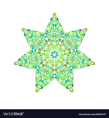 Isolated colorful abstract flower ornament star vector image