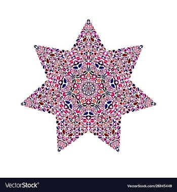 Isolated colorful abstract flower ornament star vector image