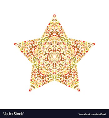 Isolated colorful abstract flower star logo vector image