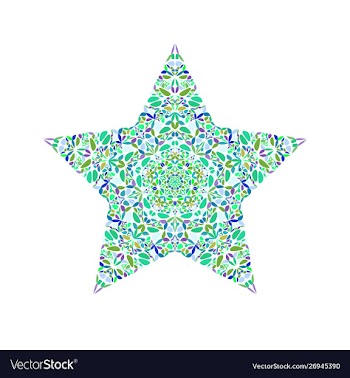 Isolated colorful floral ornament star logo vector image