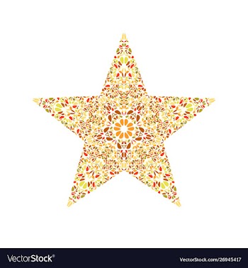 Isolated colorful flower ornament star logo vector image