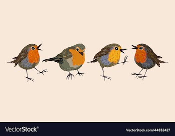isolated composition with four little birds
