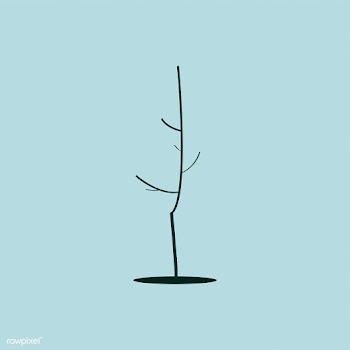 Isolated dead leafless tree in the fall illus.. | Free stock vector - 462137