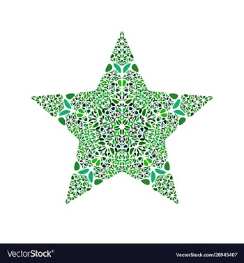 Isolated geometrical abstract floral star logo vector image