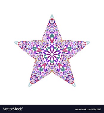 Isolated geometrical colorful floral mosaic star vector image