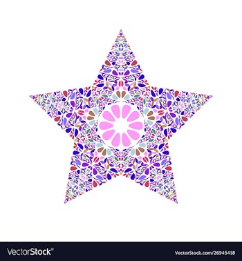 Isolated geometrical colorful floral mosaic star vector image