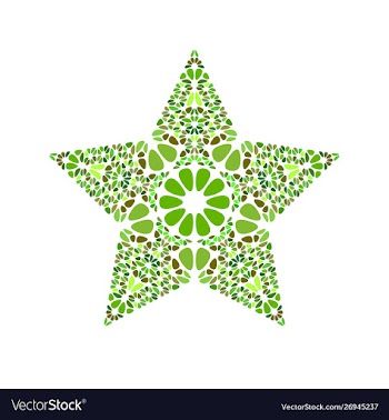 Isolated geometrical colorful floral ornament vector image