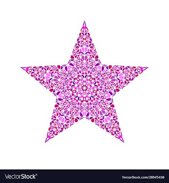 Isolated geometrical colorful flower ornament vector image