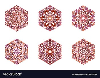 Isolated geometrical floral hexagon symbol vector image