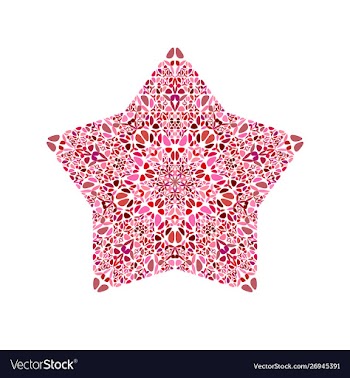 Isolated geometrical floral mosaic ornament star vector image
