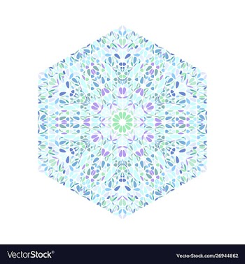 Isolated geometrical floral ornament hexagon vector image