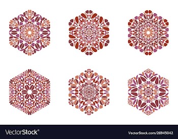 Isolated geometrical flower ornament hexagon vector image