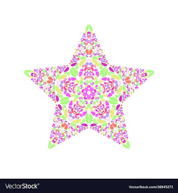Isolated geometrical flower ornament star symbol vector image