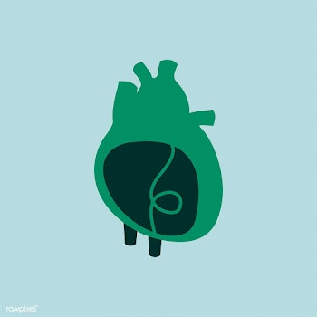 Isolated green heart illustration with sustai.. | Free stock vector - 462184
