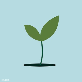 Isolated green plant growing illustration | Free stock vector - 462212