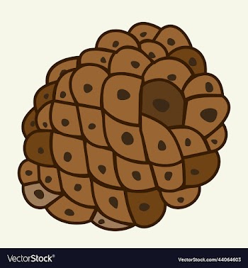 isolated of a cone