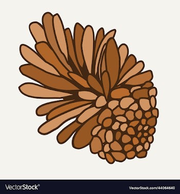 isolated of a cone
