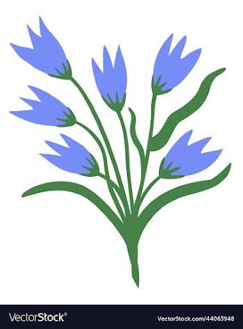 isolated of bells