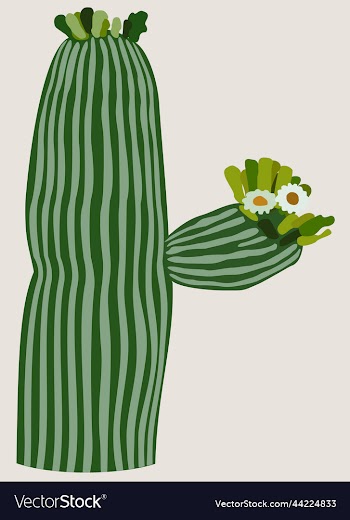 isolated of blooming cactus