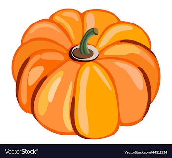isolated of bright orange pumpkin