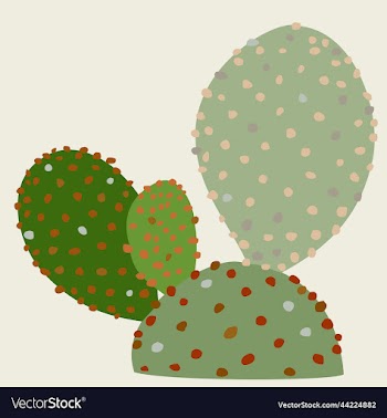 isolated of cactus